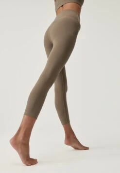 Born Living Yoga CLEO - Tights - Fossil -Born Living Yoga Verkäufe 7e1dca9dac9b47ef898d65af43330e3e